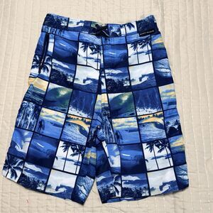 Body Glove Swimsuit | Boy’s Size XL(18) | Blue | Palm Trees